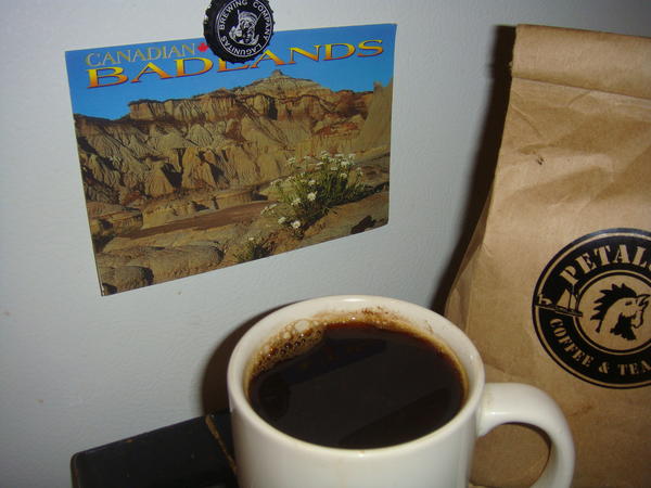 Jezra's coffee picture 2011-08-20