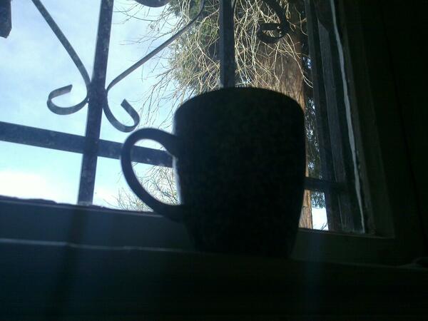 Jezra's coffee picture 2012-02-21