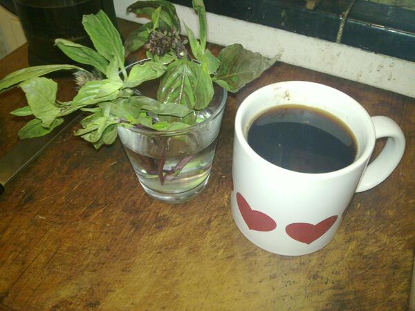 Jezra's coffee picture 2013-08-03