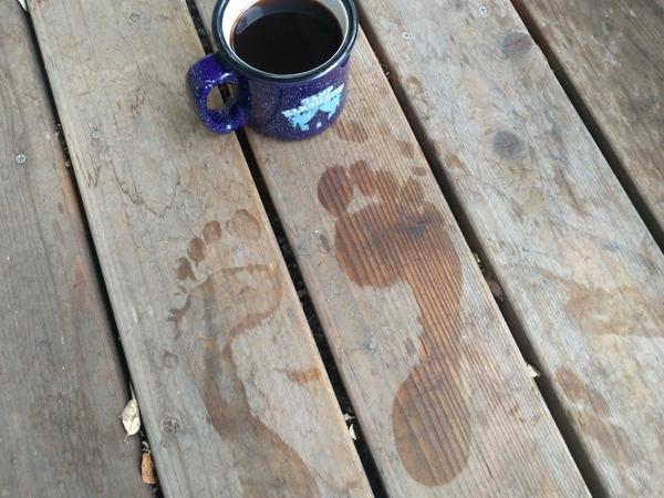 Jezra's coffee picture 2016-10-14