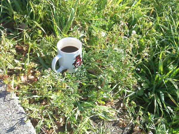 Jezra's coffee picture 2013-02-10