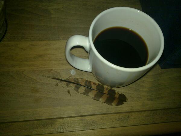 Jezra's coffee picture 2013-06-24