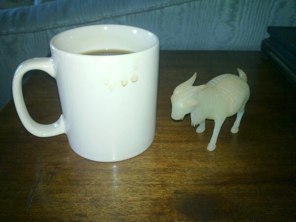Jezra's coffee picture 2013-08-09