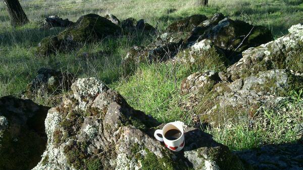 Jezra's coffee picture 2014-12-30