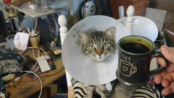Jezra's coffee picture 2015-02-10