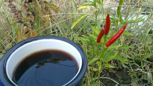 Jezra's coffee picture 2015-09-10