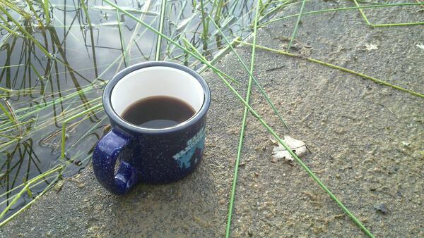 Jezra's coffee picture 2016-05-14