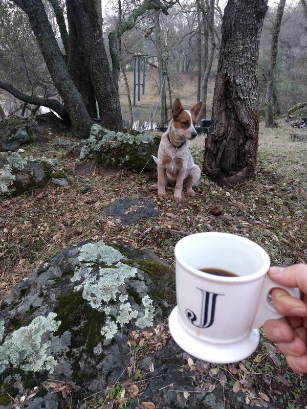 Jezra's coffee picture 2016-12-31