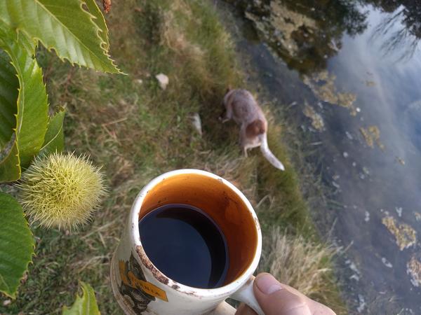 Jezra's coffee picture 2018-10-26