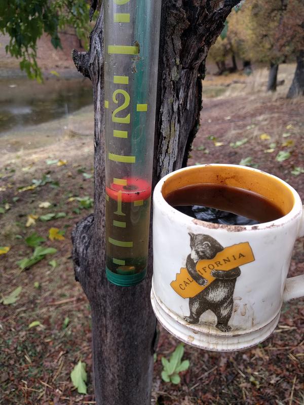Jezra's coffee picture 2018-11-22