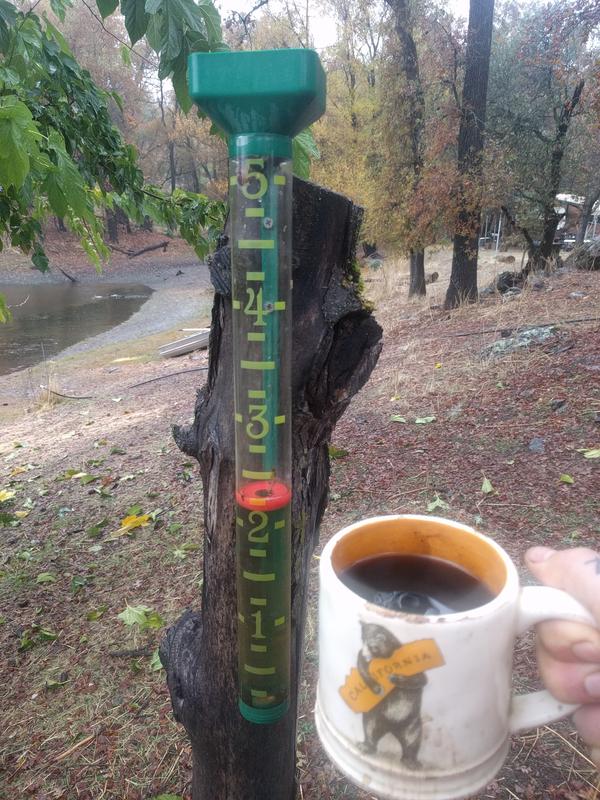 Jezra's coffee picture 2018-11-23