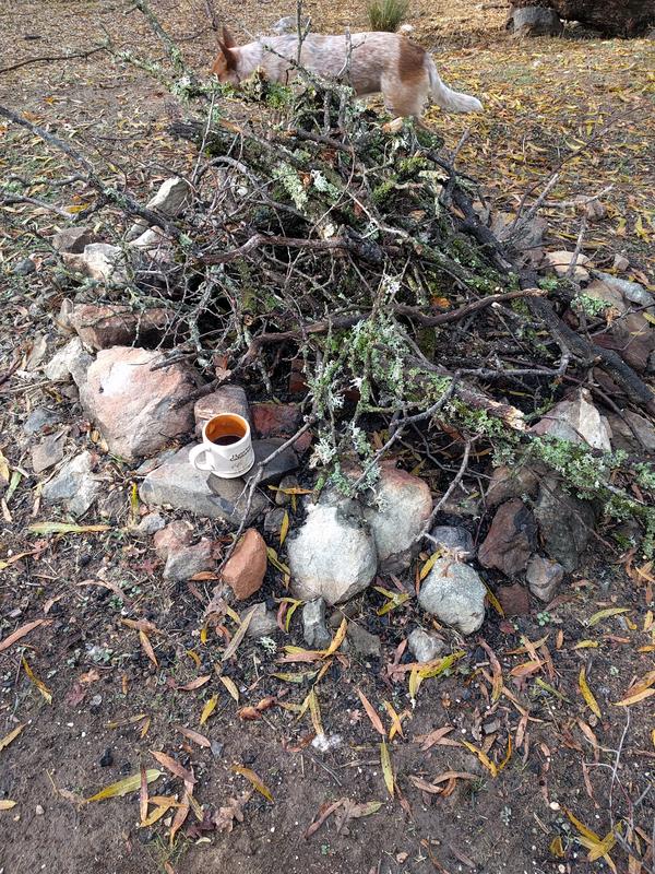 Jezra's coffee picture 2018-11-26