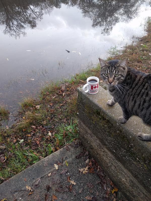Jezra's coffee picture 2018-11-30