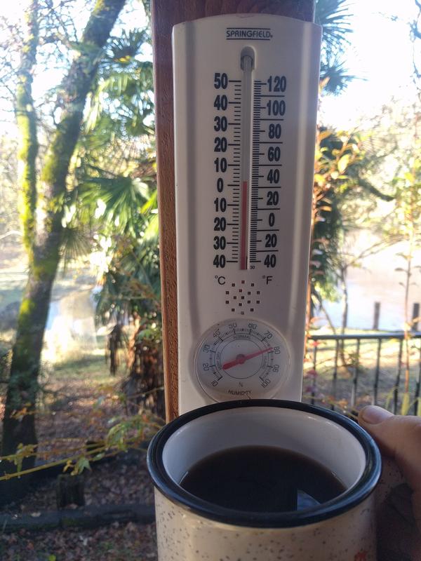 Jezra's coffee picture 2018-12-02