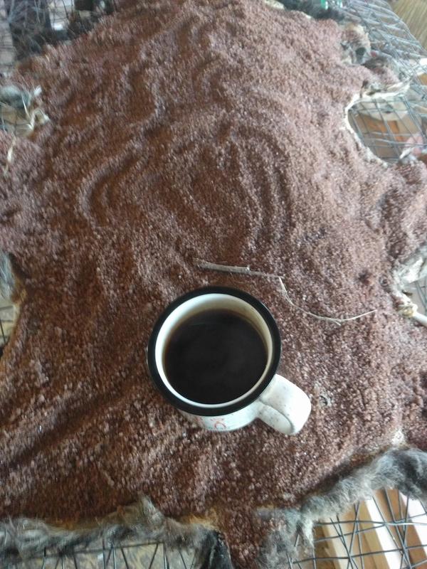 Jezra's coffee picture 2019-01-24