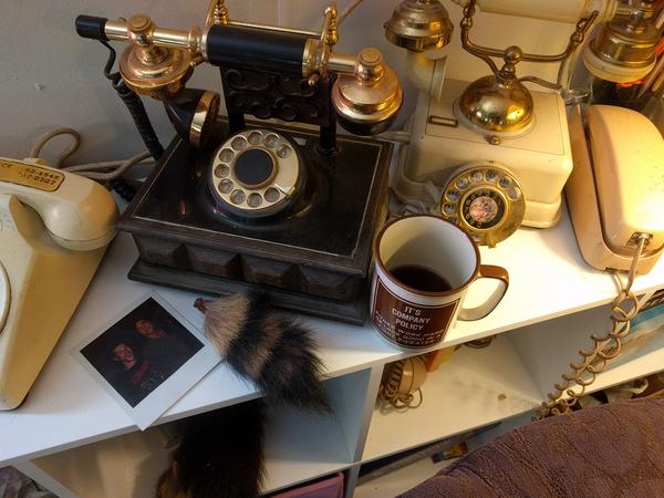 Jezra's coffee picture 2019-05-29