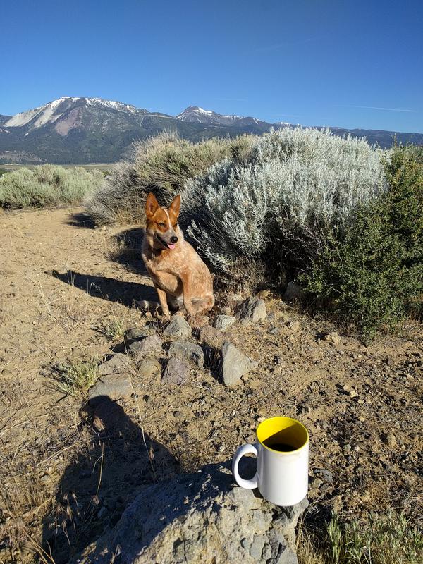 Jezra's coffee picture 2019-06-24