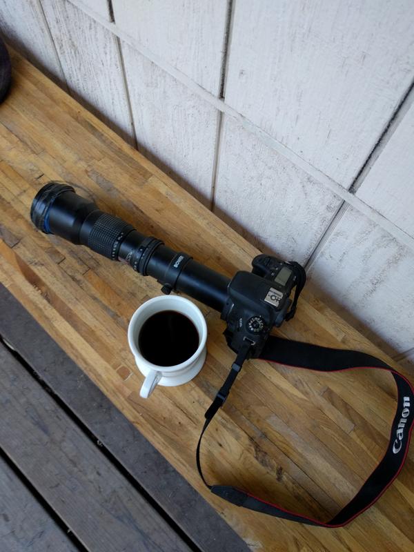 Jezra's coffee picture 2019-07-03