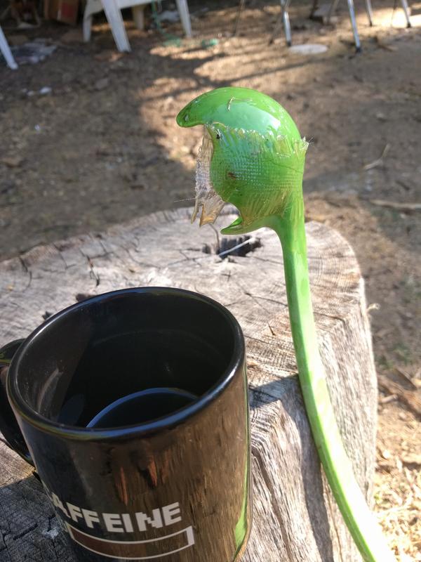 Jezra's coffee picture 2019-07-17