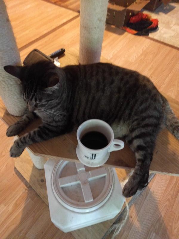 Jezra's coffee picture 2019-07-26