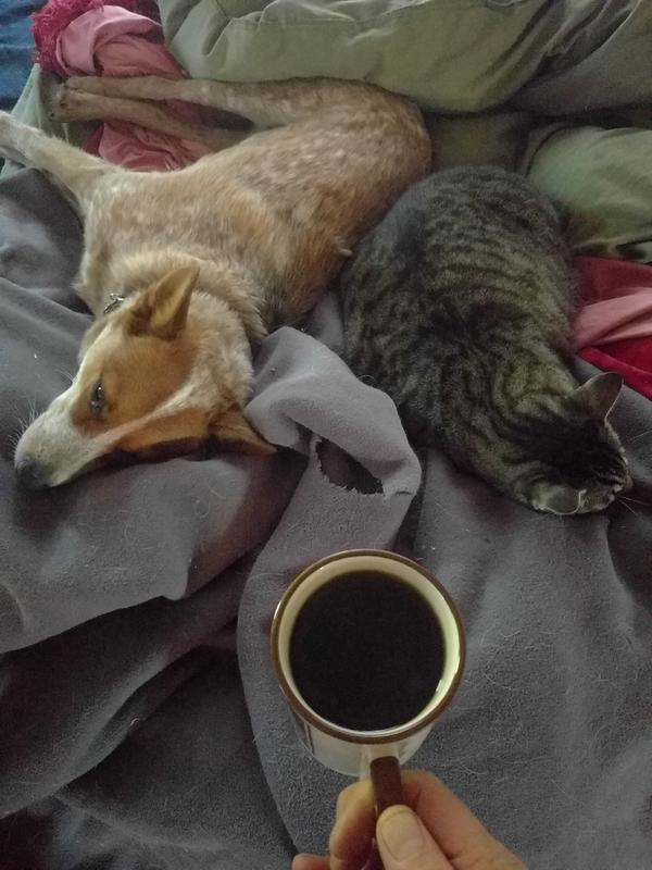Jezra's coffee picture 2019-09-23