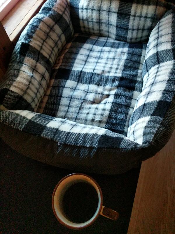 Jezra's coffee picture 2019-12-10