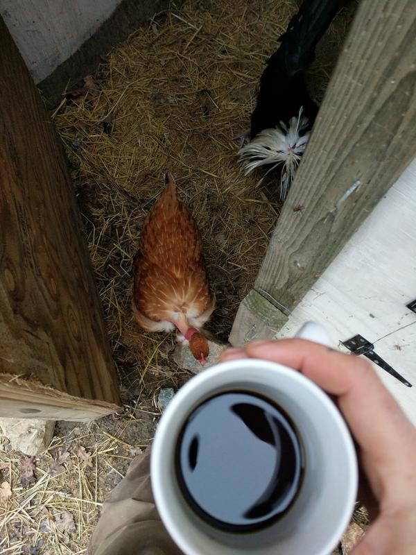 Jezra's coffee picture 2019-12-17