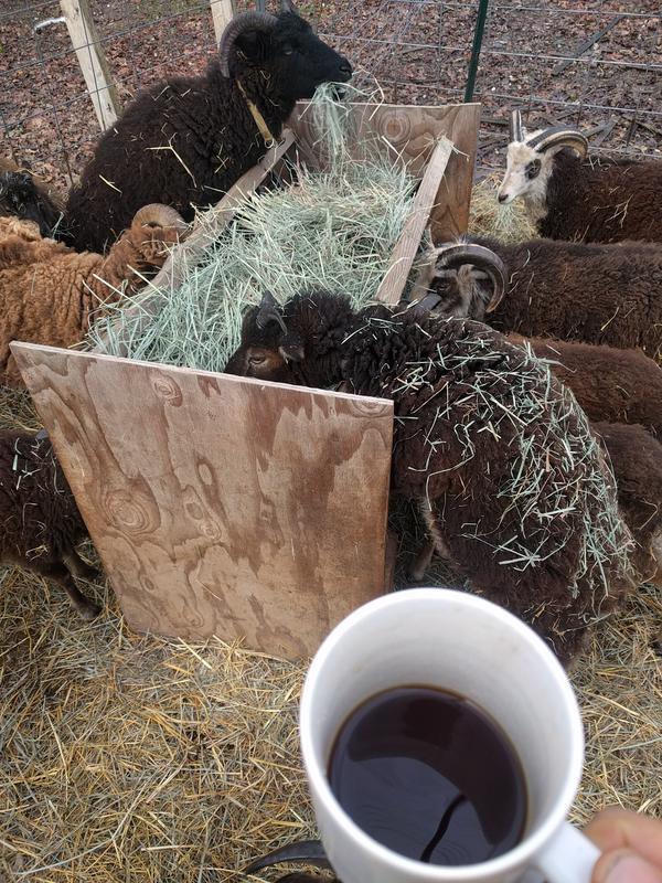 Jezra's coffee picture 2020-01-28