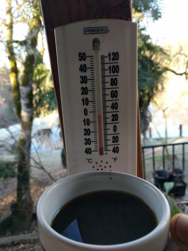 Jezra's coffee picture 2020-02-03