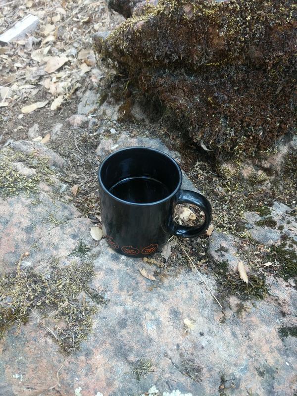 Jezra's coffee picture 2020-08-20