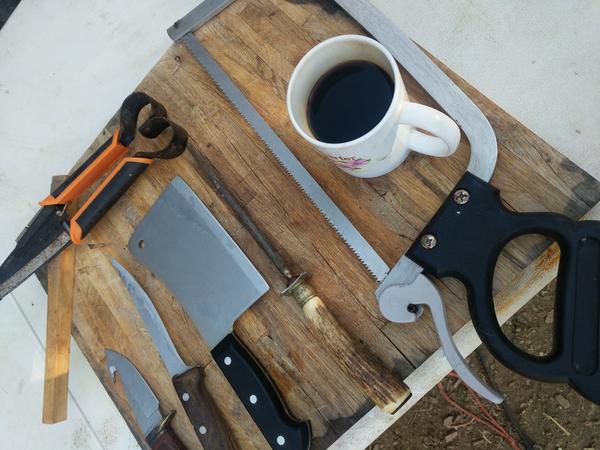 Jezra's coffee picture 2020-10-25