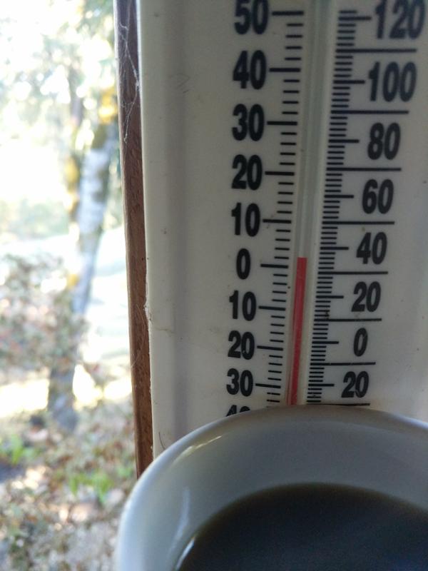 Jezra's coffee picture 2020-10-26