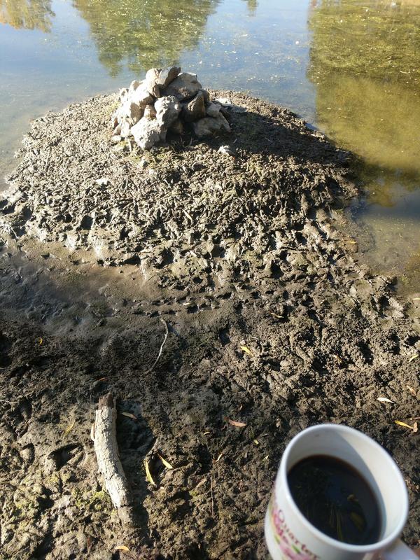 Jezra's coffee picture 2020-11-04
