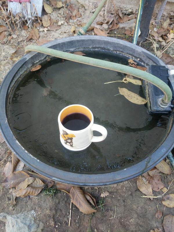 Jezra's coffee picture 2020-11-10