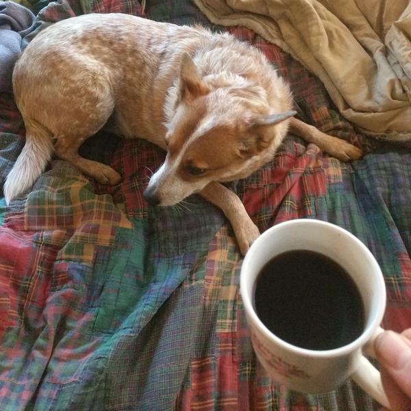 Jezra's coffee picture 2020-11-30