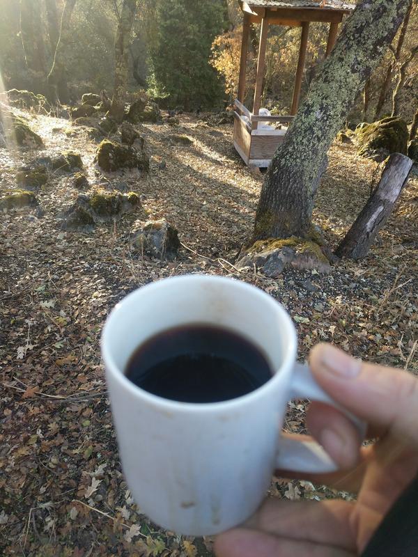 Jezra's coffee picture 2020-12-02