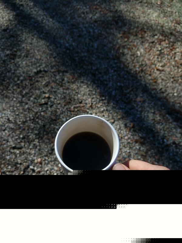 Jezra's coffee picture 2020-12-14