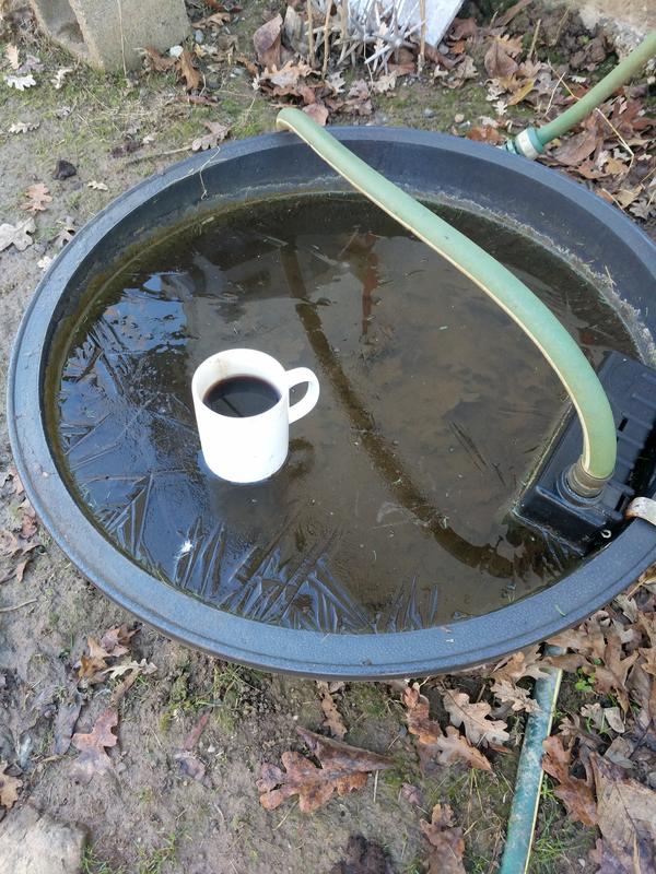 Jezra's coffee picture 2020-12-20