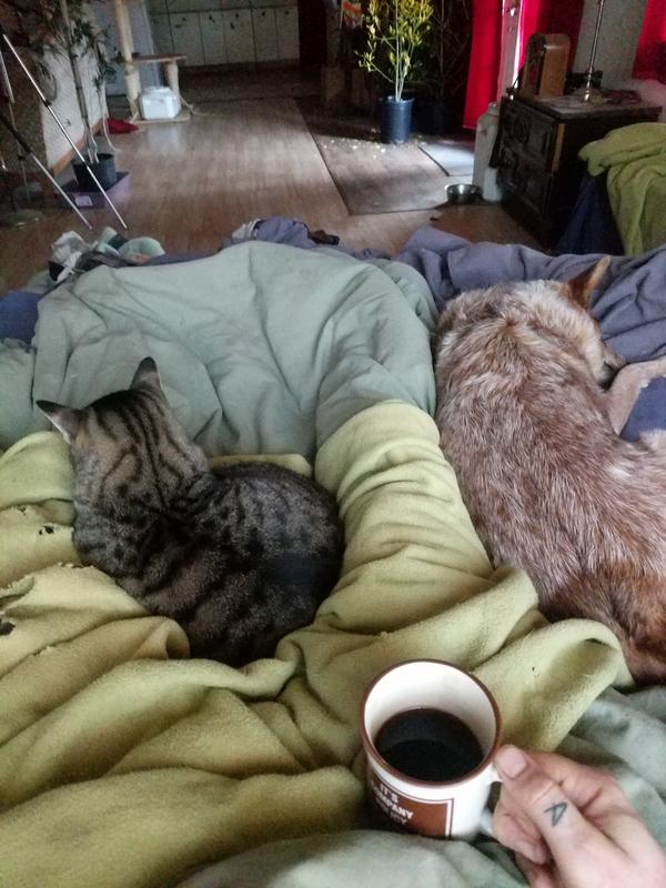Jezra's coffee picture 2020-12-24