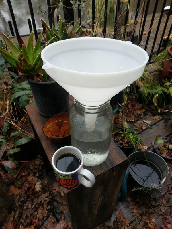 Jezra's coffee picture 2020-12-26