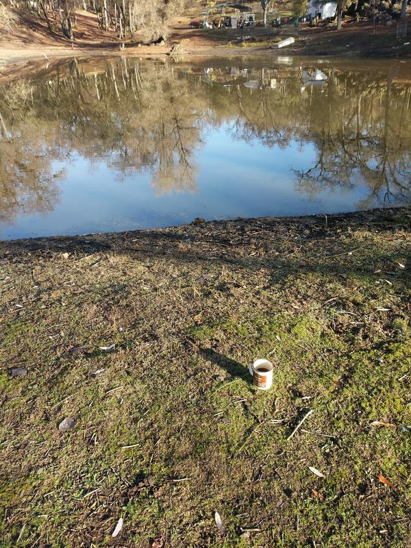 Jezra's coffee picture 2020-12-31