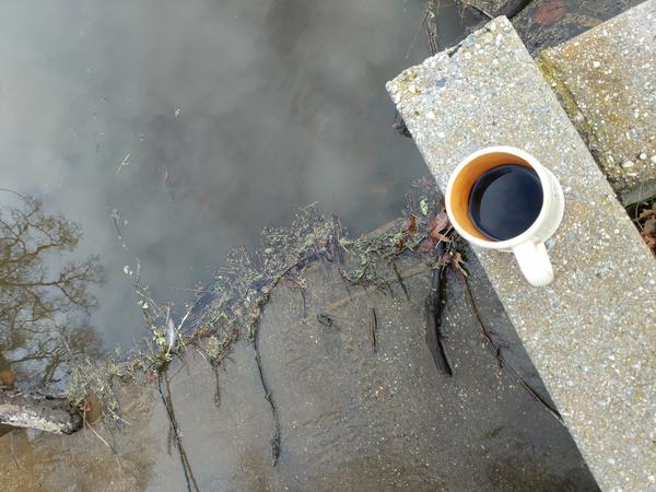 Jezra's coffee picture 2021-01-31