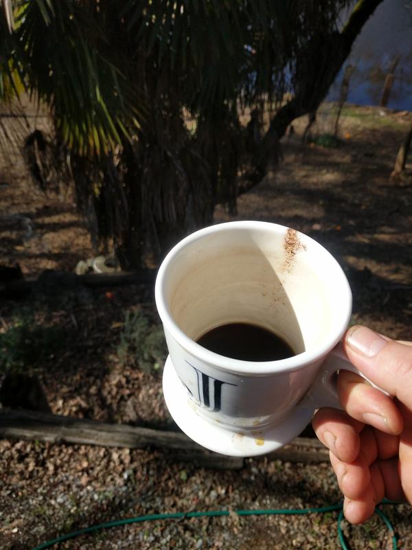Jezra's coffee picture 2021-03-06