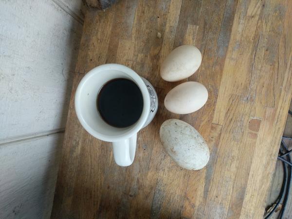 Jezra's coffee picture 2021-03-18