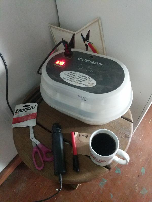Jezra's coffee picture 2021-04-18