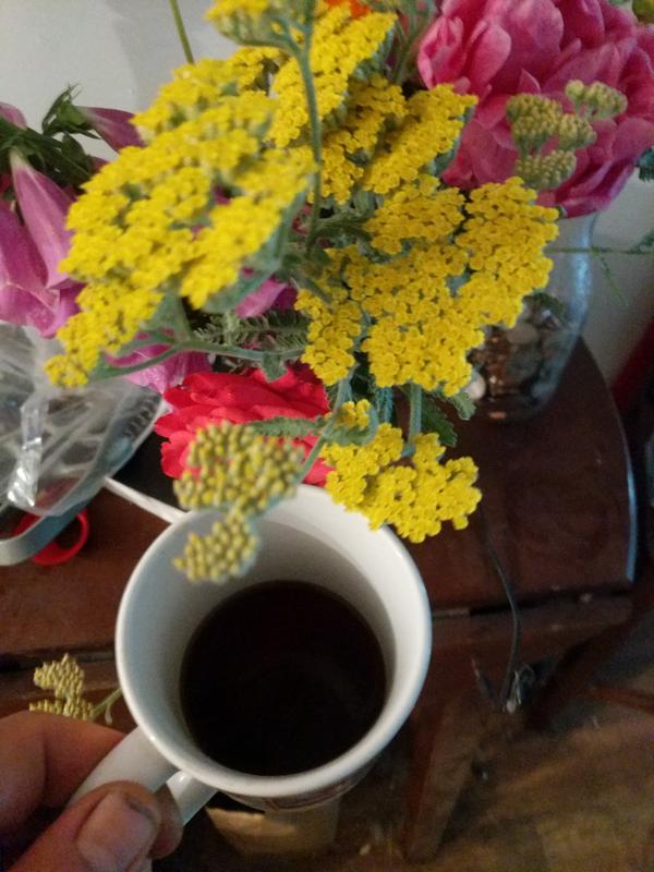 Jezra's coffee picture 2021-05-22
