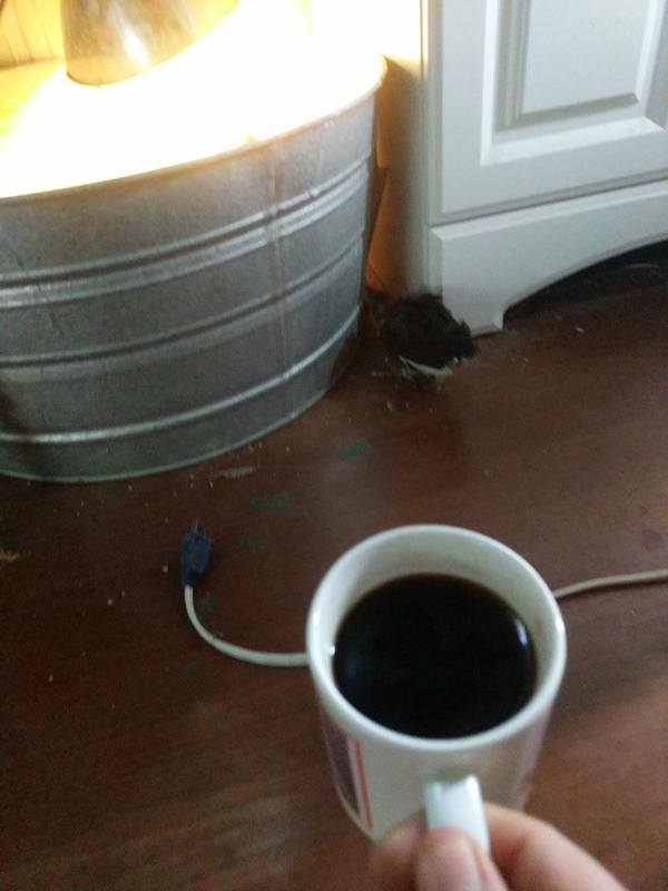 Jezra's coffee picture 2021-05-28