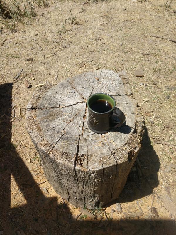 Jezra's coffee picture 2021-06-24