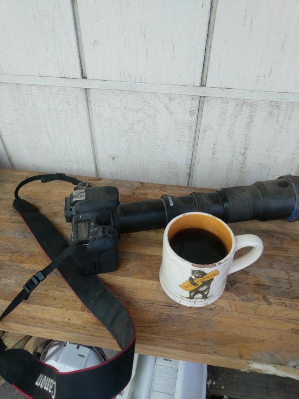 Jezra's coffee picture 2021-07-12