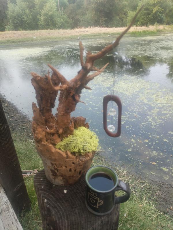 Jezra's coffee picture 2021-07-24